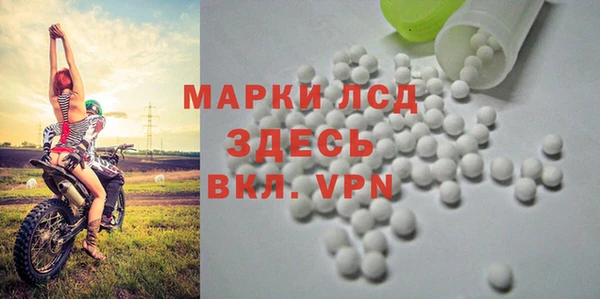 гидра Алексин
